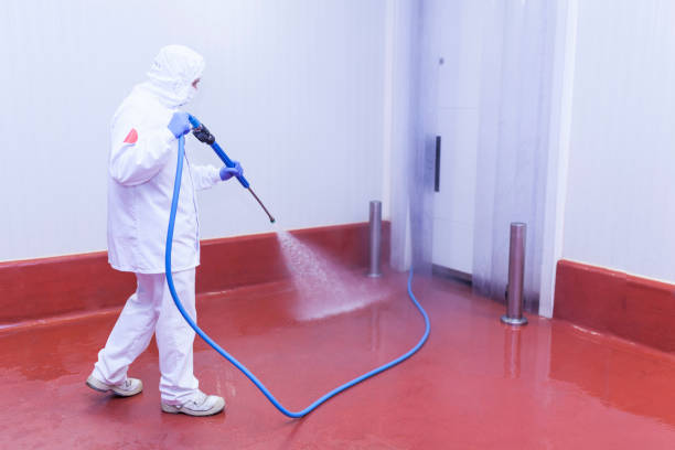 Best House Exterior Washing  in One Loudoun, VA